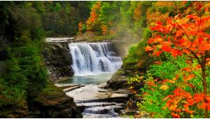 6 Cool New York State Park Fall Activities